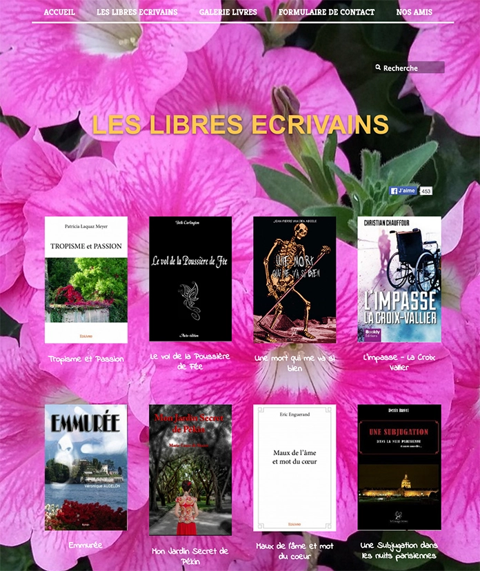 Capture d'écran du site les Libres Écrivains