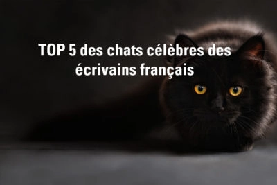 chats-celebres-ecrivain