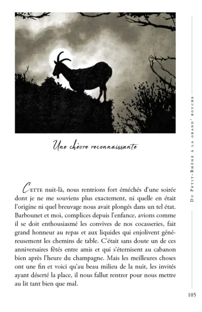 du petit rhone à la grand bouche