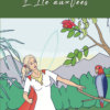 ile aux fees michel stab