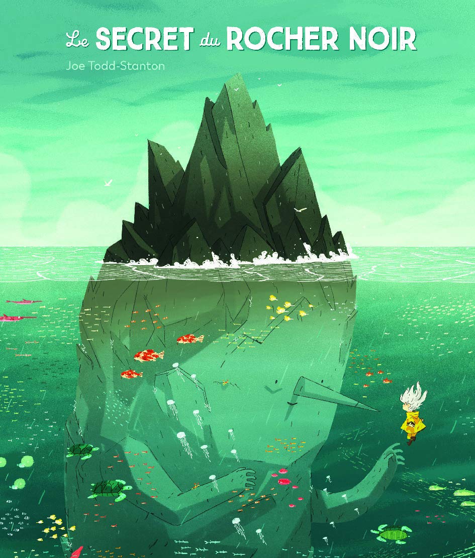 Livre le secret du rocher noir
