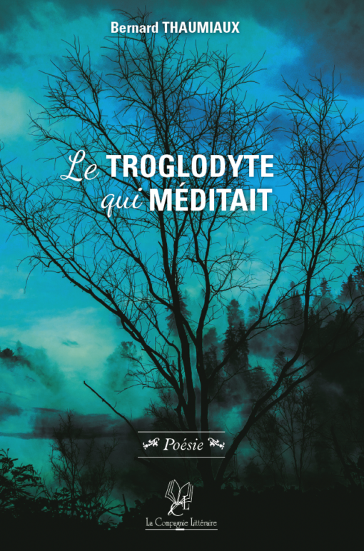 Le Troglodyte qui méditait - Bernard Thaumiaux